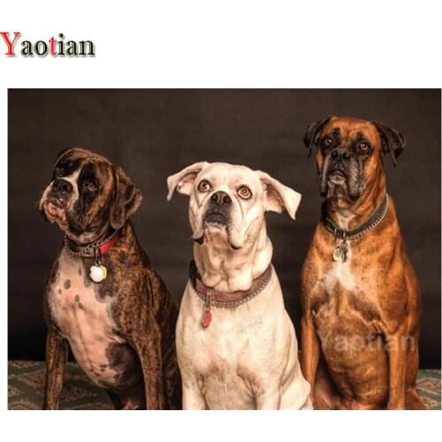 5d Diamond Painting Animal Boxer Dog Diamond embroidery rhinestone pictures diy mosaic Cross Stitch rhinestone Decor gift puzzle