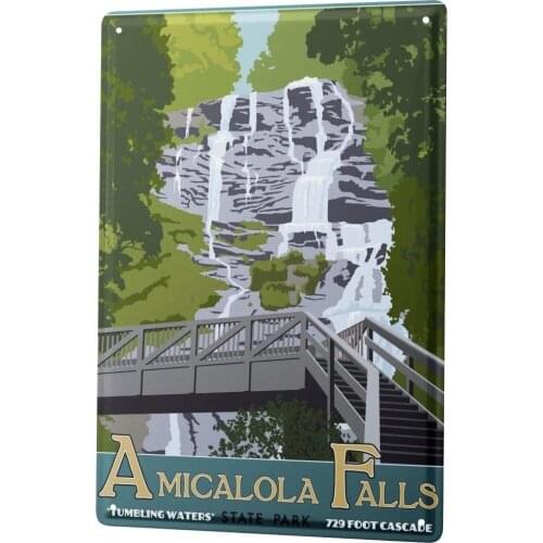 SINCE 2004 Tin Sign Metal Plate Decorative Sign Home Decor Plaques World Tour Amicalola Falls Georgia Metal Plate 8X12