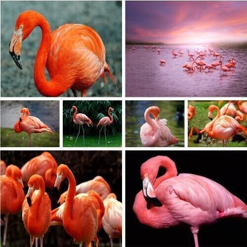 Swans Patterns Cross Stitch Kits 14CT 11CT Count Printed Canvas DMC DIY Handmade Embroidery Kits Needlework Sets Home Decor