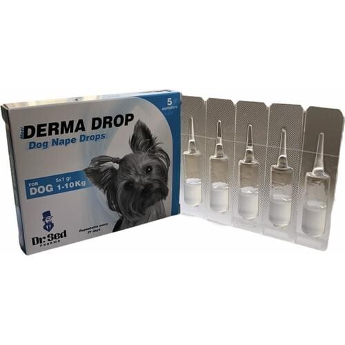 Dr. Sed Dog Accessories