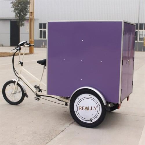 Electric Food Delivery Tricycle Courier Trike Aluminum Frame 3 Wheels Cargo Bike