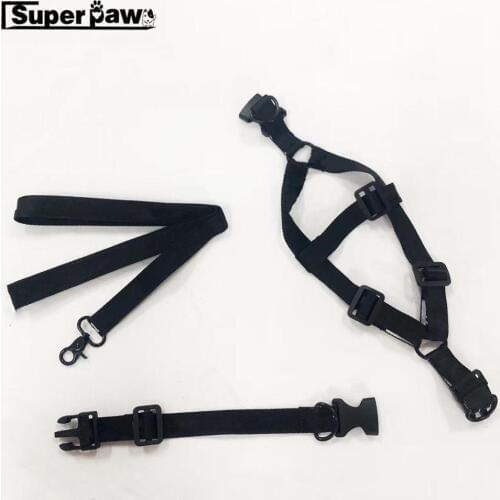 Fashion Adjustable Collar & Leash Set for Small Medium Large Dogs Puppies Outdoor Pet Dog Leading Accessories Dropshipping ZLL04