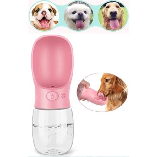 Beyisa Products For Dogs