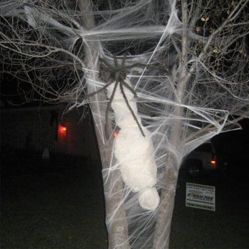 Stretch Cobweb with 2 Spiders Party Decoration Fake Spider Web Halloween Decoration for Doors Windows Indoor and Outdoor