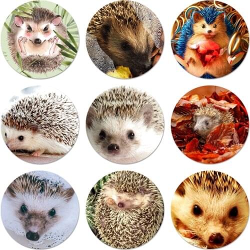 Hedgehog Cute animal Icons Pins Badge Decoration Brooches Metal Badges For Clothes Backpack Decoration 58mm