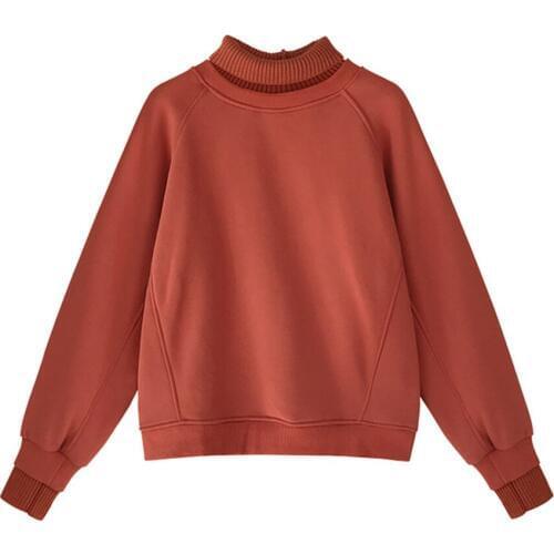 Women Loose Hoodie Plus Velvet Thick Hoodies 2019 New Long Sleeved High-neck Jacket Streetwear