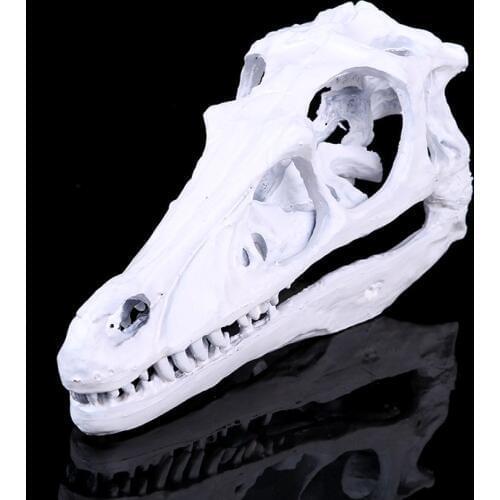 Top-grade Monolophosaurus Fossil Resin Dinosaur Skull Model Halloween gifts home Decoration