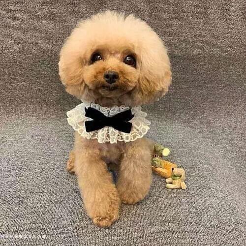 Pet Accessories Puppy Dogs handmade photo lace bow collars Teddy Bichon Ornament