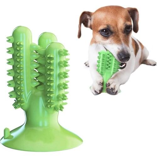 Dental Chew Toys for Dogs Healthy Fresh Puppy Teeth Cleaning Brush Cactus Large Breed Dog Molar Toothbrush Stick Pet Supplies CA