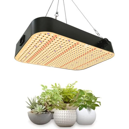 Светодиодные лампы для растений Sumtang China At AliExpress