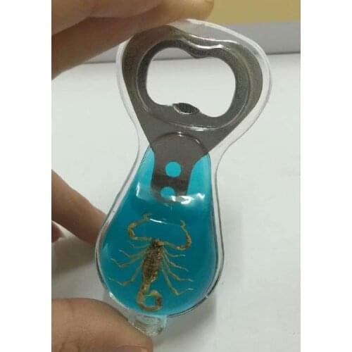 5 pcs Creative Shape Bottle Opener Gifts Beer Cap Opener Household Necessities Kitchen Tools