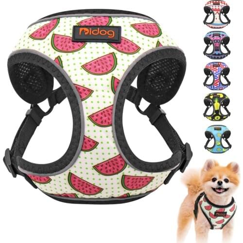 Popular Custom Design Dog Harness with Matching Collar Leash Bow Tie and Bandana Set Neoprene Reversible Dog Harness Vest