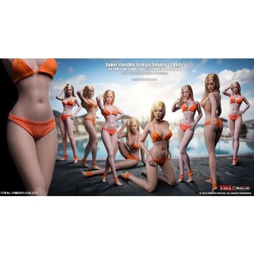 TBLeague PHMB2019-S32A S33B 1/6 Scale female Seamless Body with Stainless Steel Skeleton (without clothing and head)