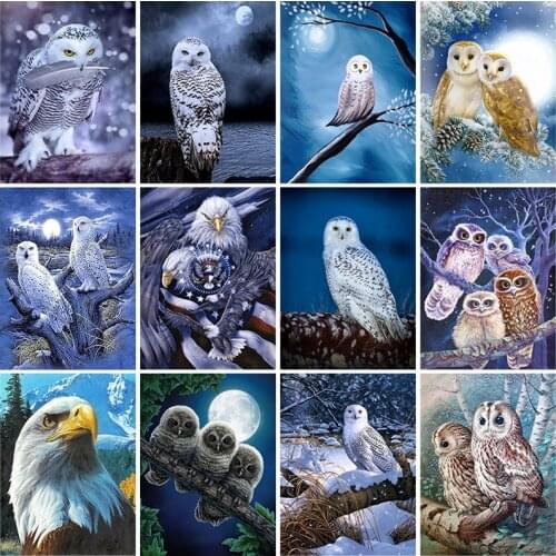 DIY Owl 5D Diamond Painting Full Round Drill Diamond Embroidery Cross Stitch Rhinestones Wall Art Home Decor