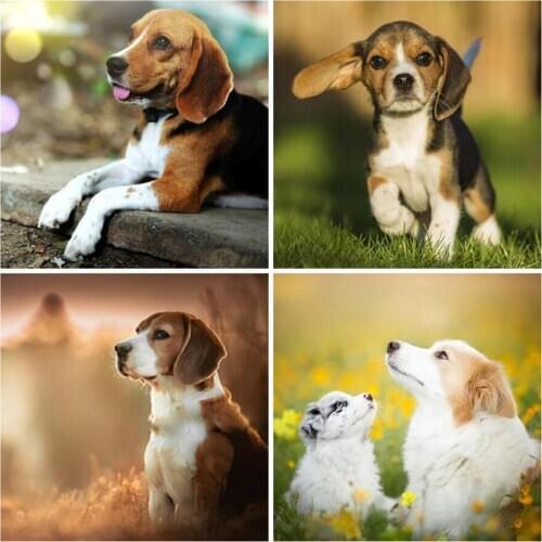 Paint With Diamond Painting by Number Cute Dog Cross Stitch DIY Hobby Beagle Pattern Mosaic Full Squre Diamond Embroidery Sale