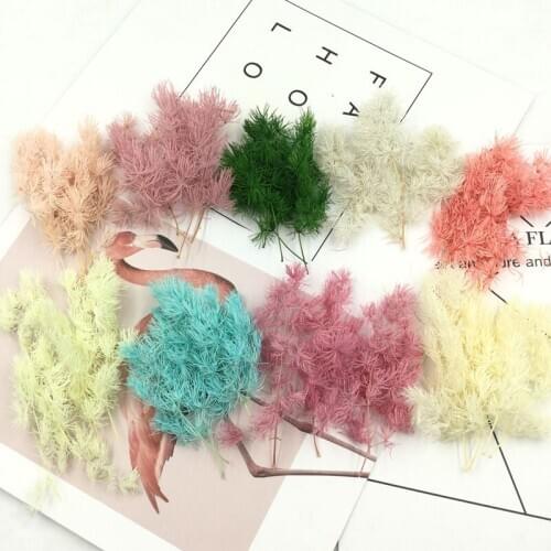 Valentines Day Preserved Fresh Flower Fluffy DIY Gift Box Glass Cover Material Handmade Pendant Car Hanging Dried Flower Flower