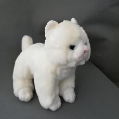 About 25cm cartoon cat plush toy white cat soft doll kids toy birthday gift h2422