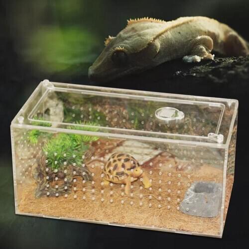 360-Degree View Reptile Breeding Box Clear Acrylic Reptile Terrarium Feeding Box Pet Warm House For Spider Lizard Frog Cricket