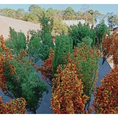 Model Trees Fall Landscape Model Tree Train Scenery Architecture Trees Fake