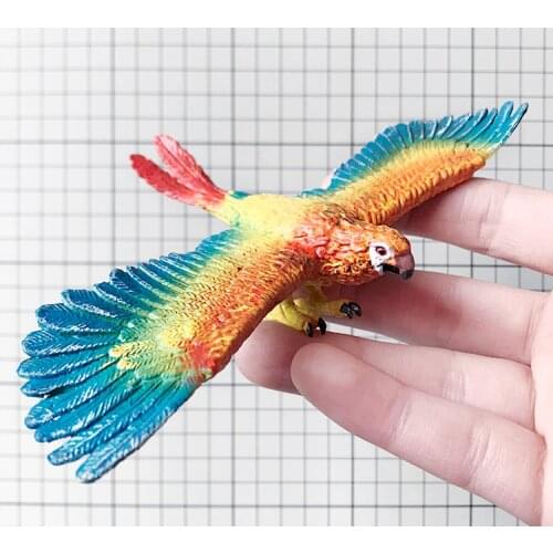 Simulation wild bird animal toy model childrens cognitive display Macaw