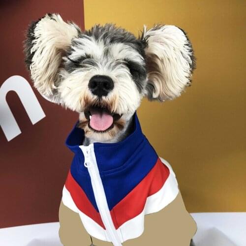 Luxury Dog Clothes Spring and Autumn Splicing Jacket Coat Trendy Brand Teddy Schnauzer Pomeranian Cat Pet Clothes