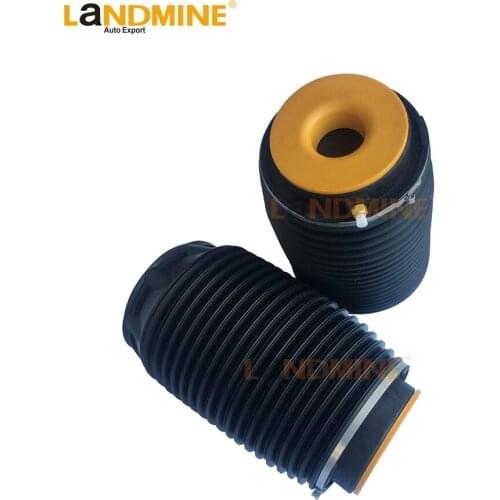 LaNDMINE 1Piar Rear Air Suspension Spring Bag Fit Hyundai Centennial Genesis Equus 553603M501 553503M501