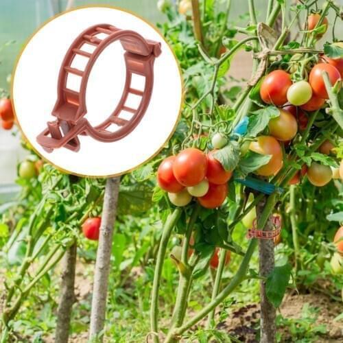 100pcs Anti-Bending Tomato Stem Support Clips Plant Garden Fixing Clips