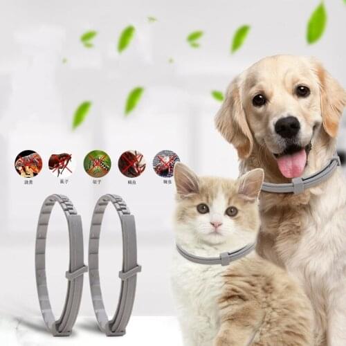 New 8 Month Flea & Tick Prevention Collar Perro for Cats Dog Pet Harness Mosquitoes Repellent Collar Insect Mosquitoes Coleira