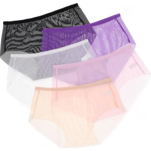 Womens sexy underwear Seamless Transparent panties Lightweight underwear Ladys Briefs 5pcs/lot