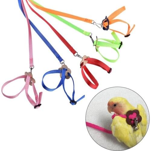 2021 Pet Bird Harness Leash Traction Straps Adjustable Parrot Bird Leash Pet Anti-Bite Training Rope Outdoor Flying Harness Rope