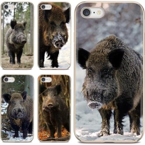 Animal Wild Boar For Samsung Galaxy A10 A40 A50 A70 A3 A5 A7 A9 A8 A6 Plus 2018 2015 2016 2017 Soft Skin Case