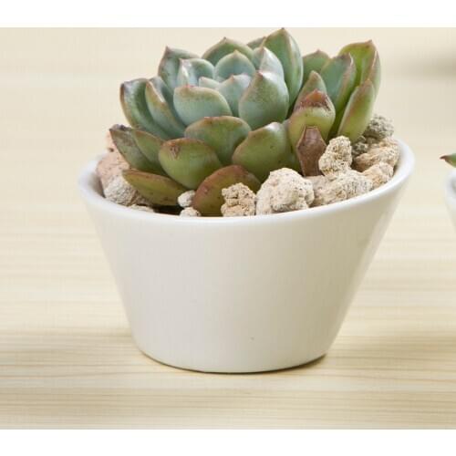 8*8*4.8cm Simple white ceramic Desktop Creative mini fleshy pots oblique mouth small pot free shipping