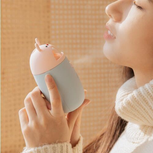 3 in 1 Humidifier Mobile Power Hand Warmer Multifunctional Mini Humidifier with Light New Arrival