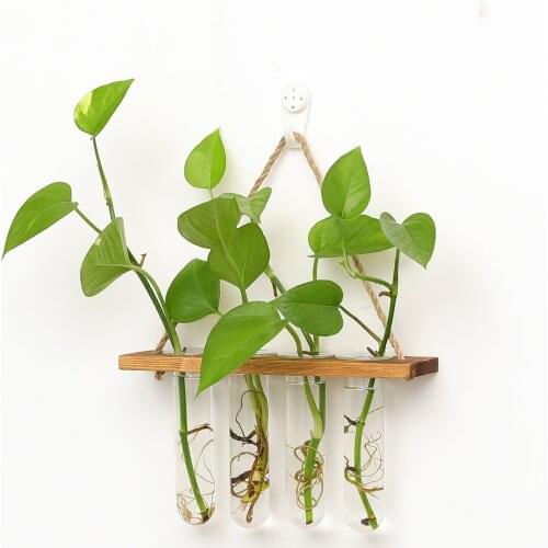 Hydroponic Plant Vases Vintage Flower Pot Boho Decor Transparent Vase Wooden Frame Glass Tabletop Plants Bohe Home Bonsai Decor