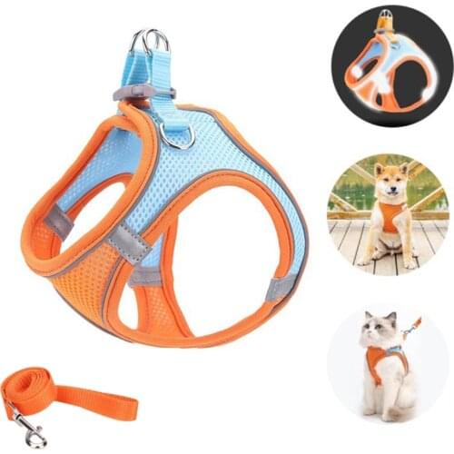 Voopet Harnesses