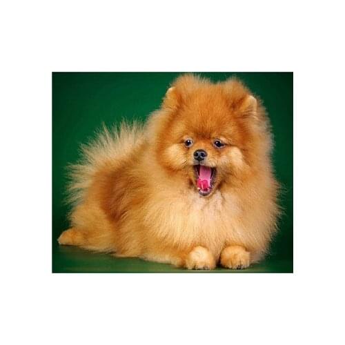 YIKEE 5d diy diamond painting dog 5d diamond embroidery animal Home Decor y783