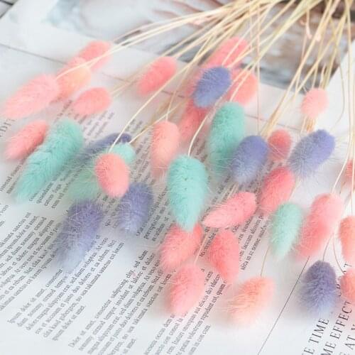 100Pcs /Bunches Of Bunny Tail Grass Natural Dry Flower Bouquet Home Decoration Accessories Flower DIY Bouquet Photography Props