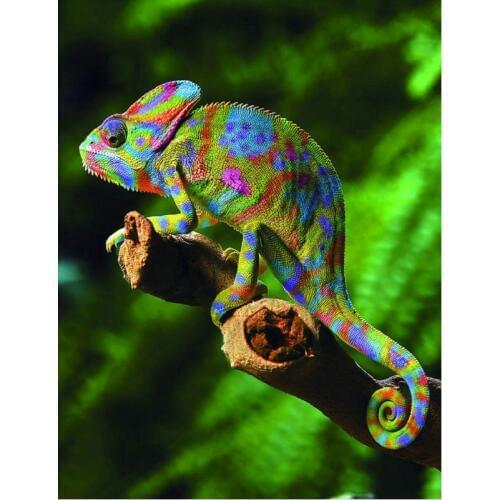 5d Diy Diamond Painting Chameleon scenery Full Drill Square Round Diamond Embroidery rhinestones mosaic lizard Home Decor