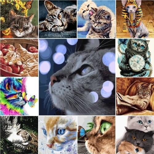 DIY Cat Coloring By Numbers Set Frameless Oil Painting 40x50cm 24 Colors Gift Diff:3 Stars VA-0354