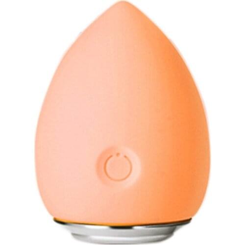 Beauty Egg Face Cleansing Vibrat Massager Ion Wrinkle Remover Facial Mesotherapy for Essence Makeup Remove Skin Care Device