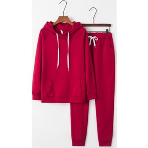 Autumn Winter Fashion Women Two Piece Set Hooded Fleece Oversized Sweatshirt Long Pants Casual Solid Hooded Womens Sport Suit