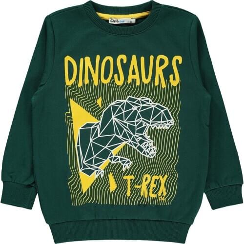 2020 Winter 2 Rope Long Sleeve Printed Sweat and Tshirt Knitted Top Crew Neck Cvl Boy Sweatshirts 2 5 Ages