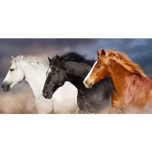 Cool Brown Horse Herd Running in Dust Men Sport Gym Towels for Adult Horses Wild Life Animal Beach Travael Bath Towels Gift 140