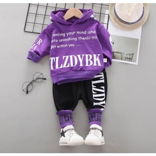 Spring Autumn New Children Cotton Clothes Sets Baby Girl Boys Sports Kids cartoon Hooded Pants 2pcs Kids Casual Suits Tracksuits