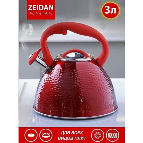 Zeidan Stainless Steel Kitchen Kettles