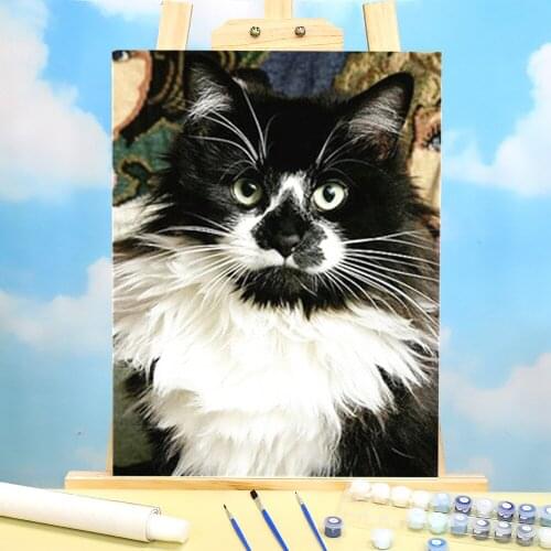 Cat Animal Coloring By Numbers Painting Complete Kit Acrylic Paints 50*70 Boards By Numbers Decorative Paintings Handiwork