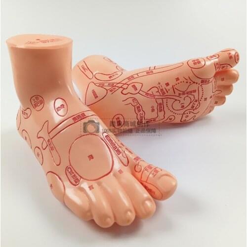 Fashionable Plastic Acupoint Foot Mannequin Foot Model Best Quality Hot Sale