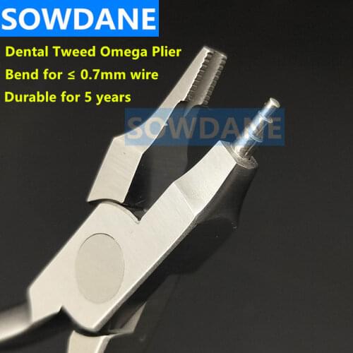 1 pc Dental Orthodontic Tweed Omega Loop Bend Forming Plier Wire Bending Form Plier Dental Lab Laboratory Tool Autoclavable