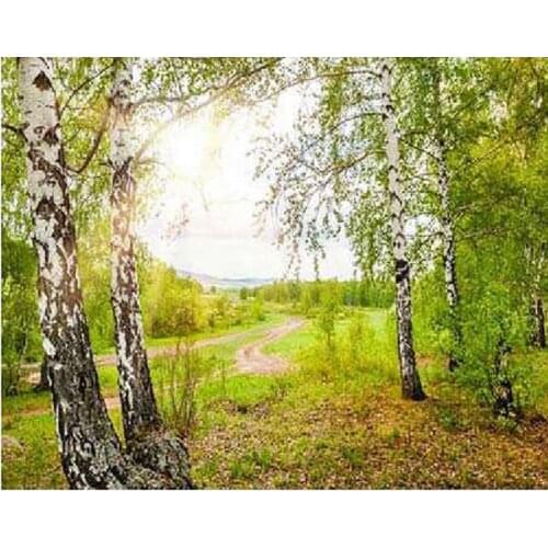 DIY Full Square Round Drill diamond painting Woods landscape mosaic embroidery sale 5D Cross Stitch Kit Home Decor AA2339