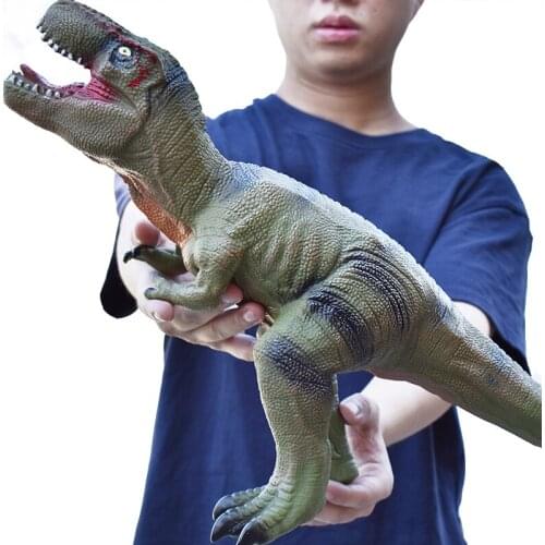 Пособия по биологии YOAINGO China At AliExpress